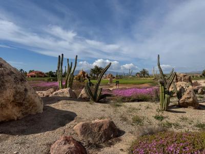 Vivienda en construcción a la venta – Diseño, luz y personalización en Desert Springs Resort (14)
