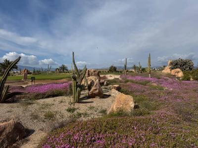 Vivienda en construcción a la venta – Diseño, luz y personalización en Desert Springs Resort (15)