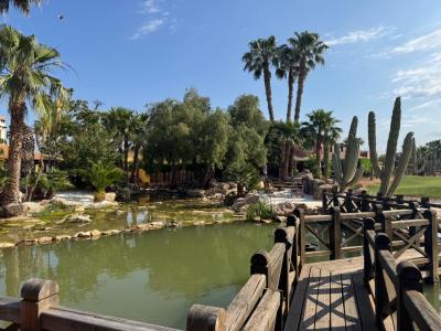 Vivienda en construcción a la venta – Diseño, luz y personalización en Desert Springs Resort (18)