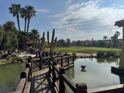 Vivienda en construcción a la venta – Diseño, luz y personalización en Desert Springs Resort (19)